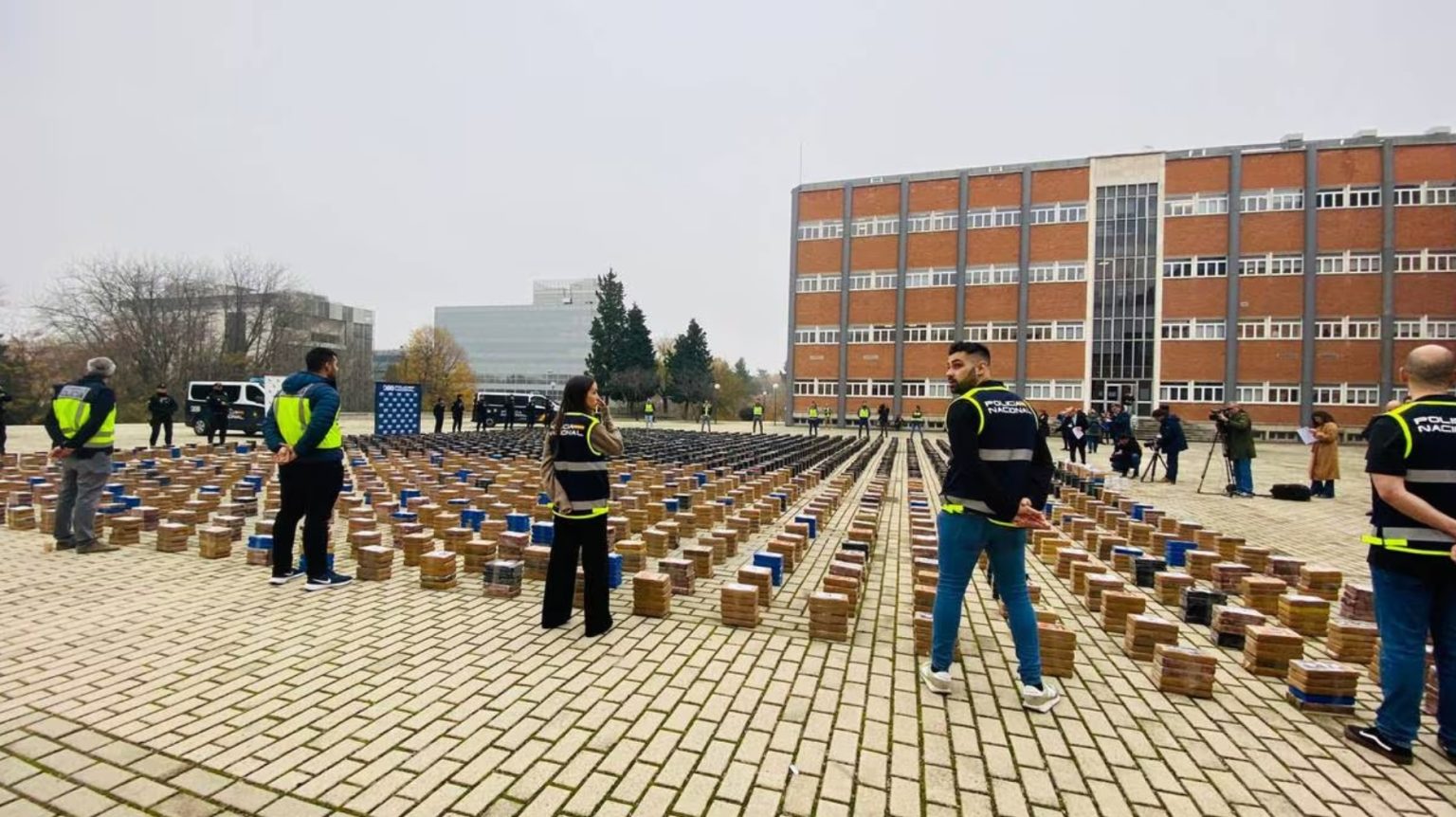 1702403817 image