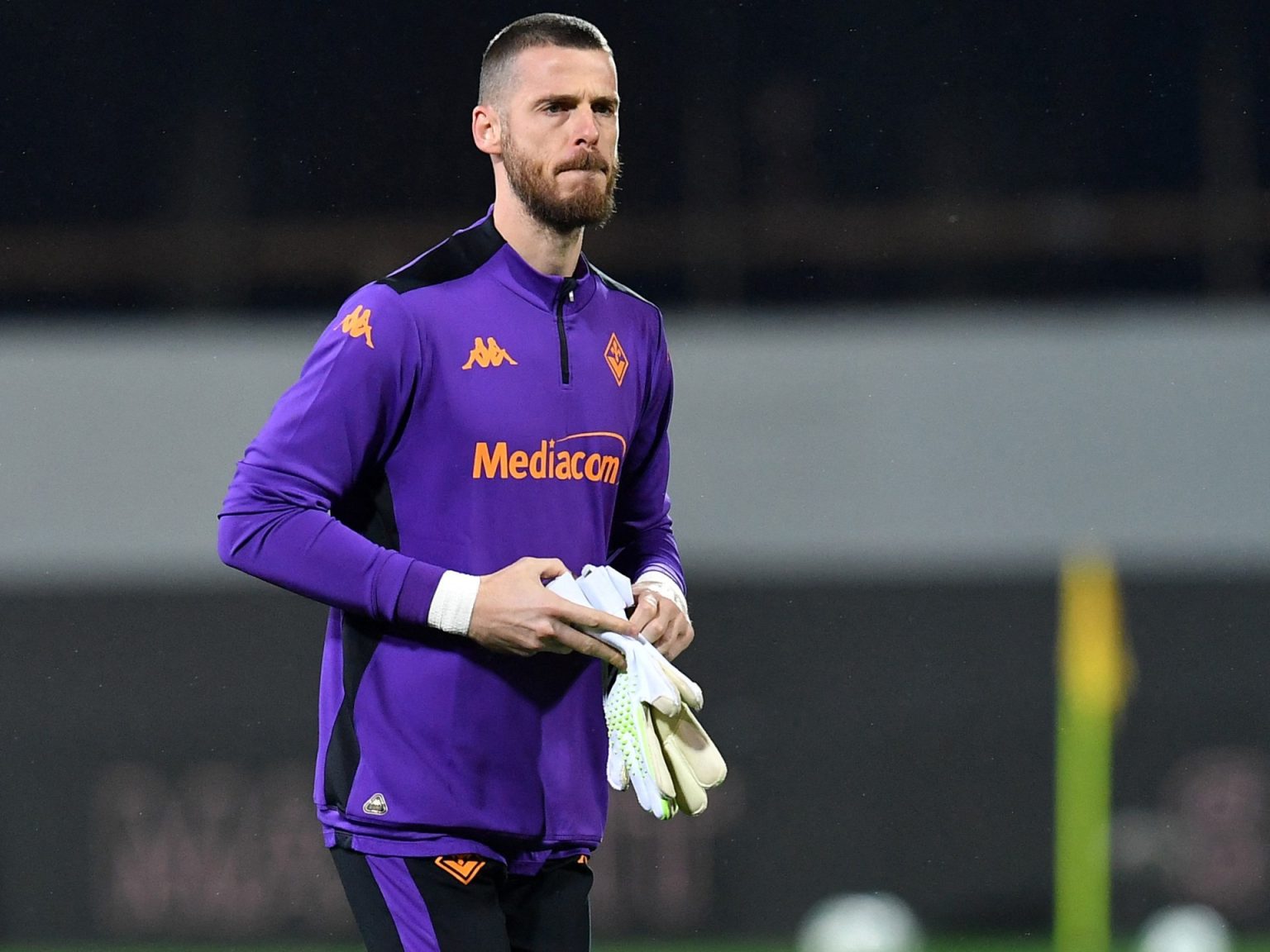 David de Gea2 1734185088