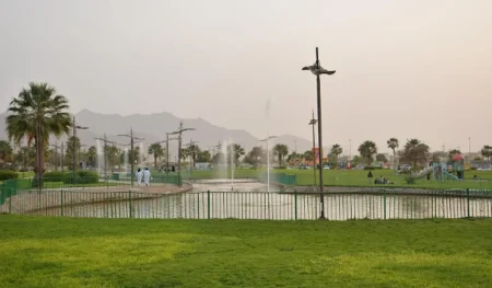 ajel2F2025 07 262F68lrov5r2FCapture