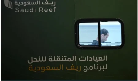 ajel2F2025 08 012F74cb7m212FCapture