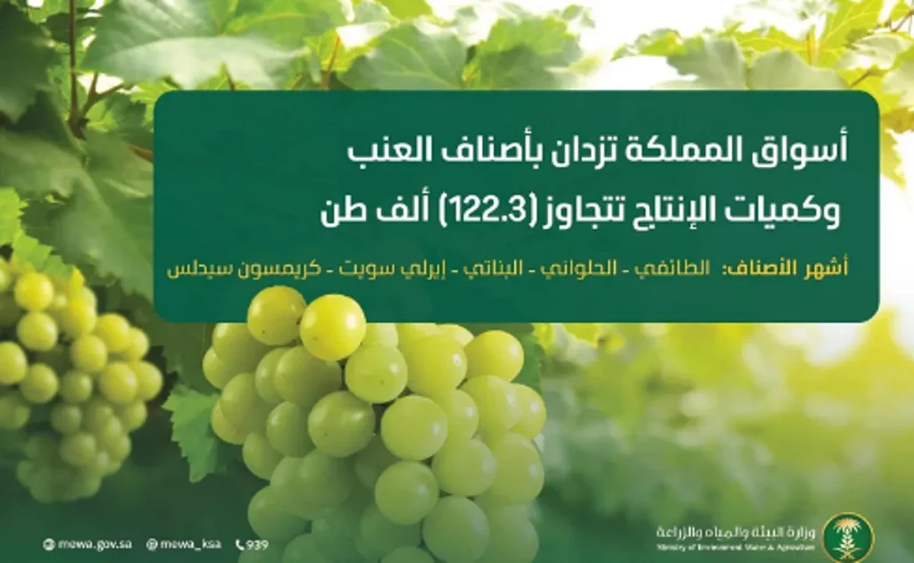ajel2F2025 08 022Fzmjo4dwg2FCapture