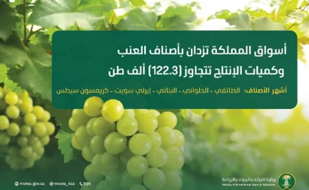 ajel2F2025 08 022Fzmjo4dwg2FCapture