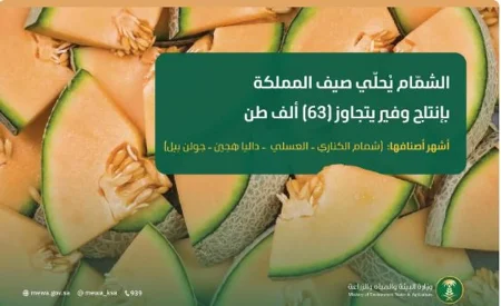 ajel2F2025 08 092Fcityz7jn2FCapture
