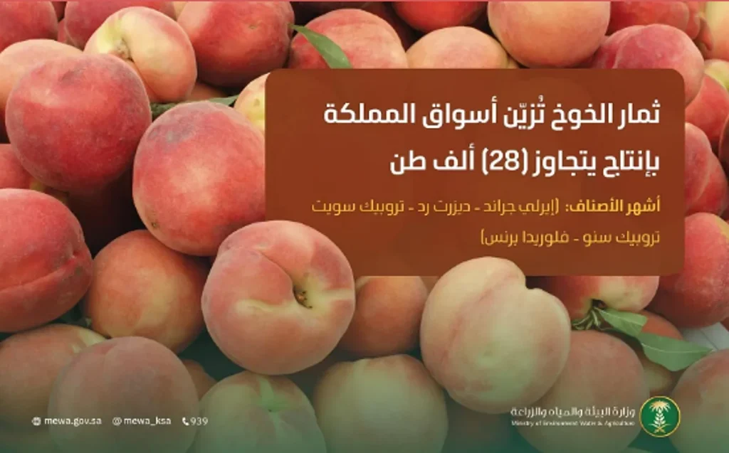 ajel2F2025 08 112Fx837amkl2FCapture