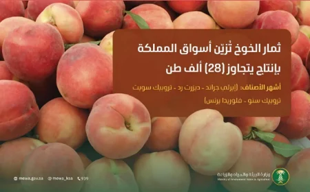 ajel2F2025 08 112Fx837amkl2FCapture