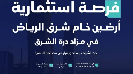 ajel2F2025 08 132Fyoyxftq82FCapture