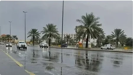 ajel2F2025 08 192Fozi8l0y02FD985D8B7D8B1 D8A3D985D8B7D8A7D8B1.avif