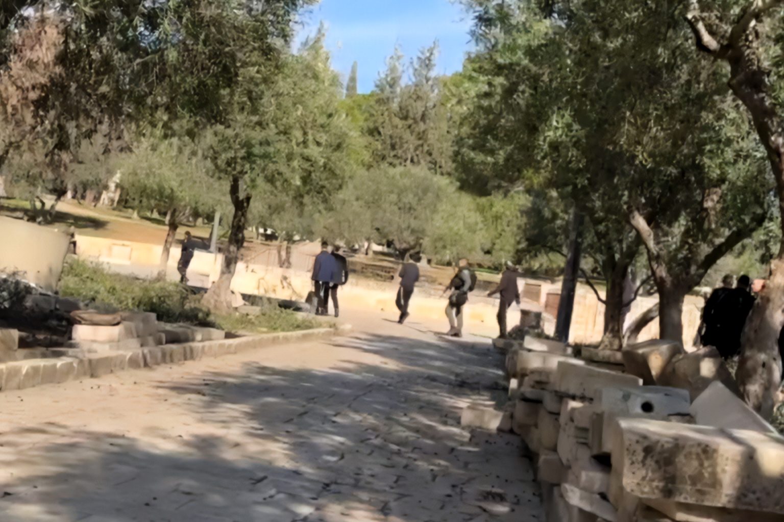 dfgr6ghf 1754815762