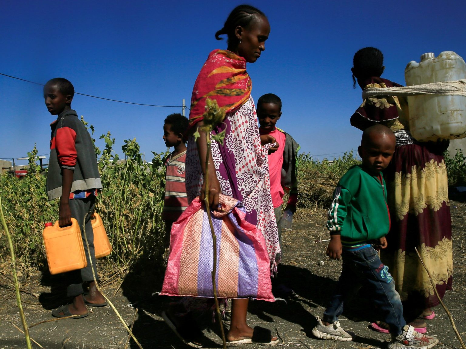 tigray2 1