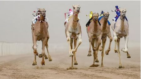 ajel2F2022 082Ff770543a 9921 4e3d 8ae9 902816b355482F092c2962 29bd 4ae6 8c0c 3a51f7fa6ff9