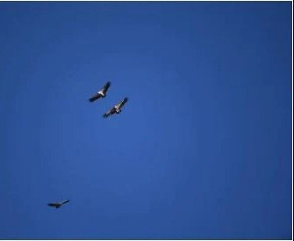 ajel2F2025 09 112F6x8440p62FD8B7D98AD988D8B1