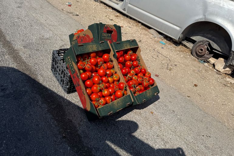 كيف يضيّق الاحتلال على سلة فلسطين الزراعية في الأغوار؟ 2 صورة لطريقة تسويق المزارعين الفلسطينيين منتجاتهم على جوانب الطرق في طوباس والأغوار