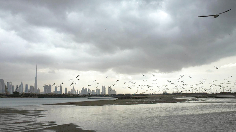 أجواء رطبة وضبابية صباحاً حتى 12 ديسمبر 1765160823 image