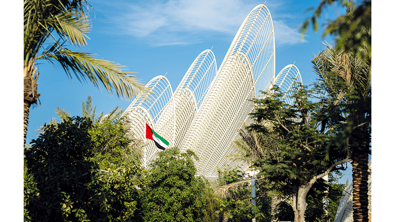 متحف زايد الوطني يستضيف ندوة الدراسات العربية للمرة الأولى «عربياً» 1765421813 image