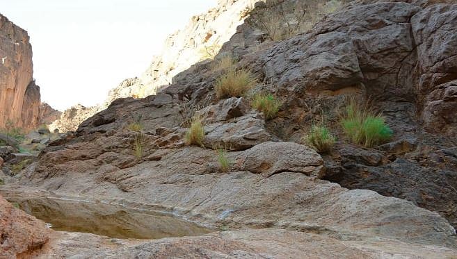 1765645133 283 Capture