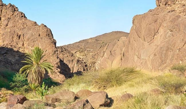 1765645133 73 Capture