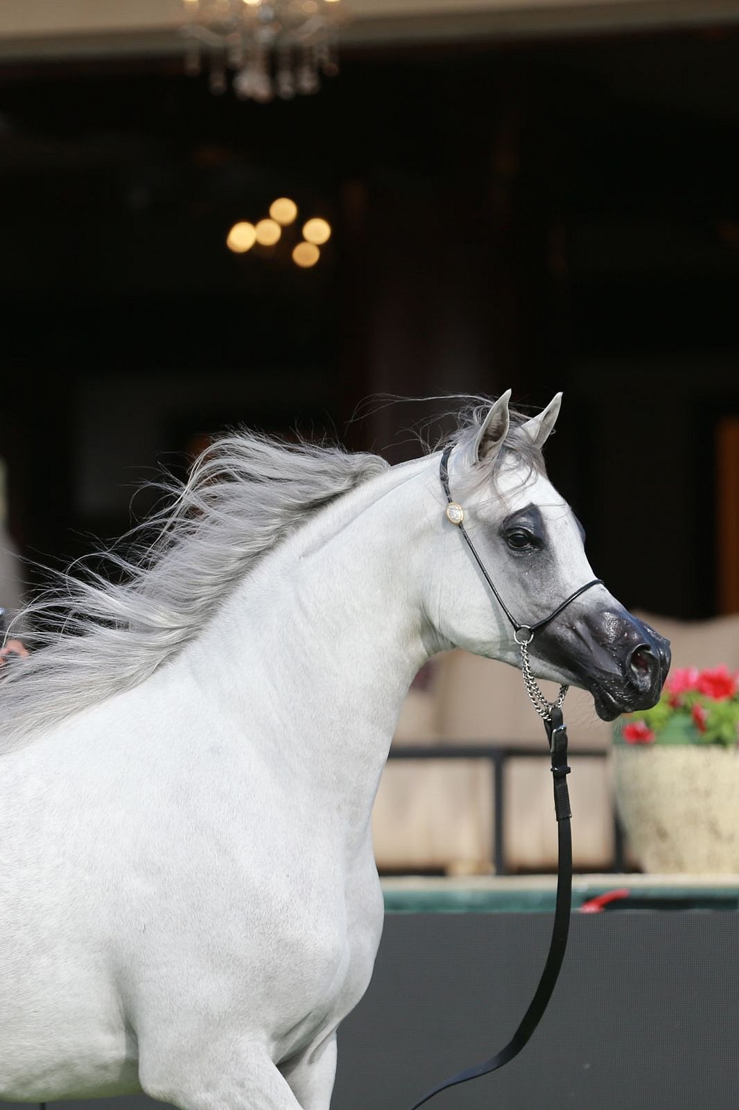 5000d998 4517 4ac8 8810 fa9f40ed62c1