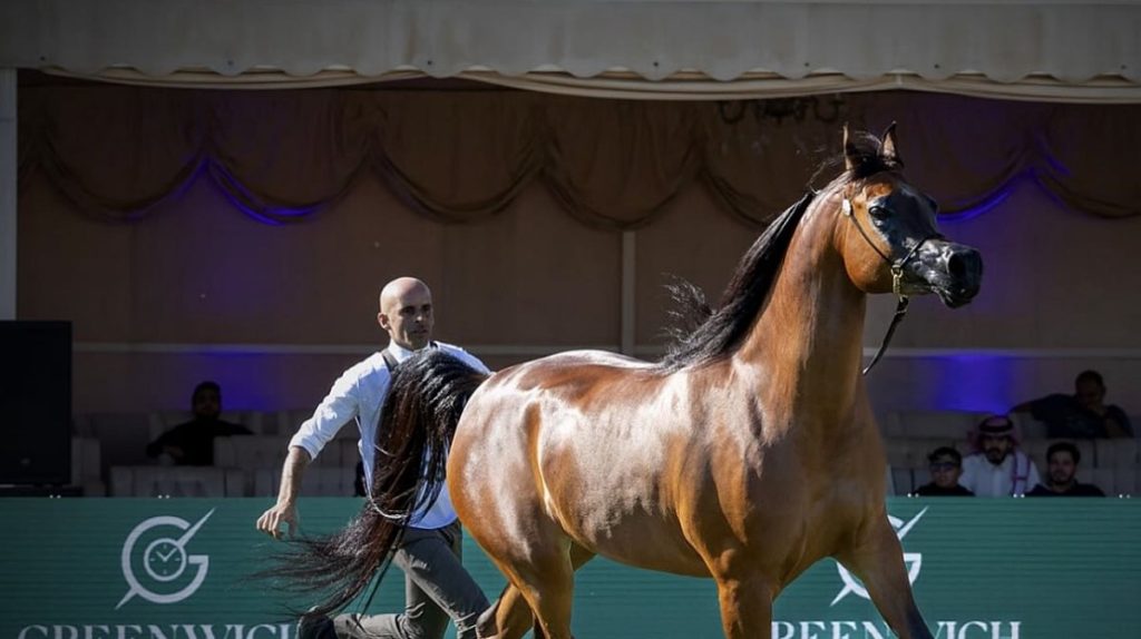 الرياض تستضيف العرض الدولي الثامن لجمال الخيل العربية 2025 ajel2F2025 12 072F59743oww2FD8B3D8B11