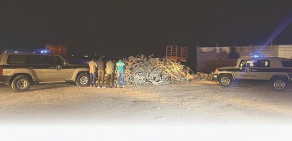 ajel2F2025 12 082Frfgpu5r52FD8A7D8A7