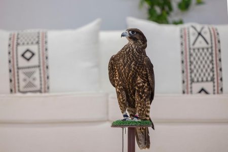 ajel2F2025 12 092Fyld5lh7f2F3232323