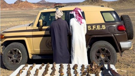 ajel2F2025 12 122F9prk6rgw2FCapture