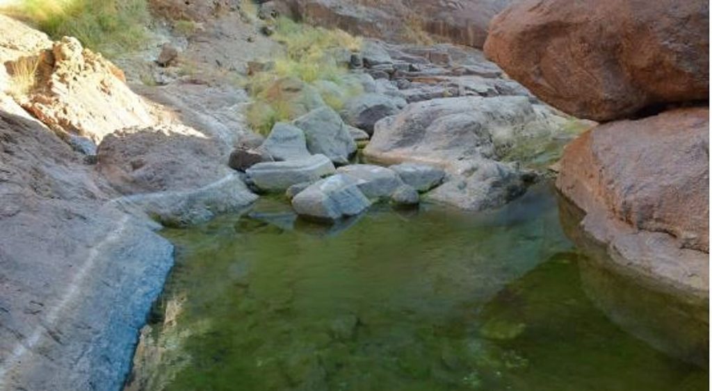 وادي مغيدد.. أيقونة لجمال الطبيعة ajel2F2025 12 132F7dlsprdr2FCapture