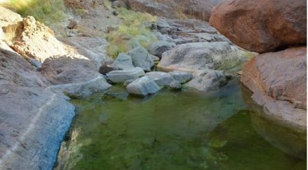 ajel2F2025 12 132F7dlsprdr2FCapture