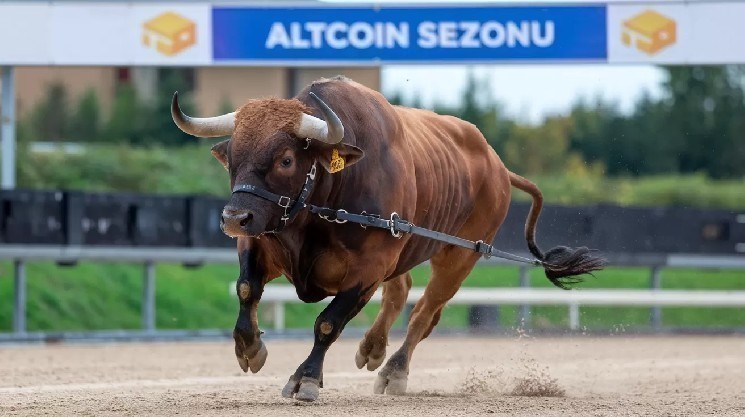 هل سيأتي موسم Altcoin؟ إذا كان الأمر كذلك، كيف سيبدو؟ الاستراتيجي راؤول بال يزن b6898755c336d8c2b5292edb1513d06f80e5b0b6