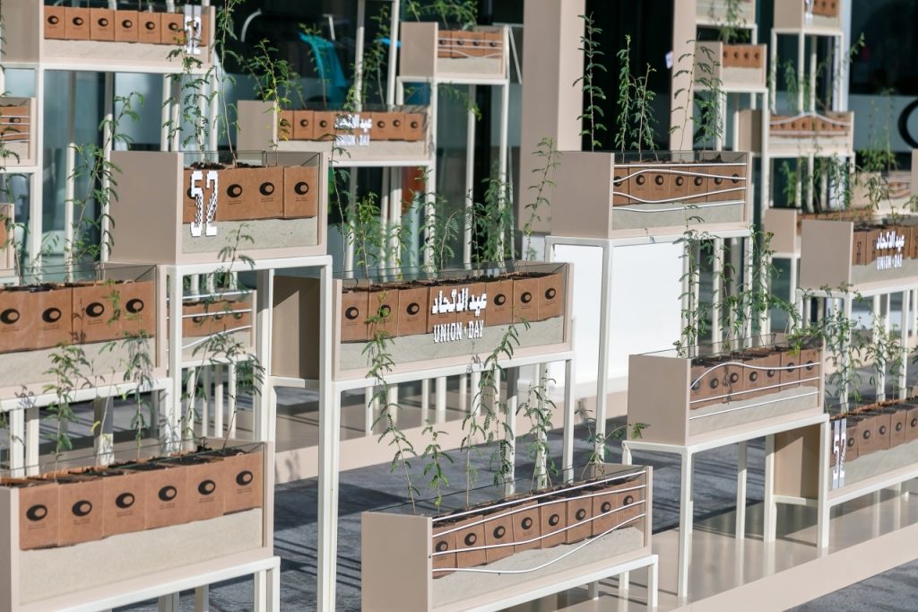 متحف المستقبل يوزع 2071 شتلة «غاف» احتفاء بالمناسبة الوطنية 1701588683 image