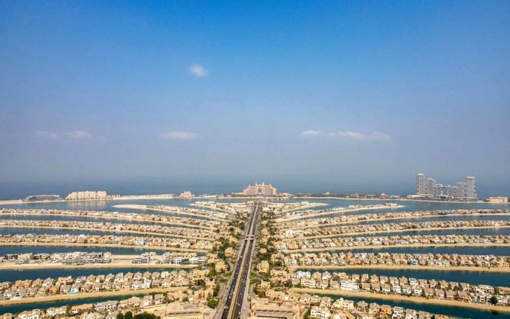 1703541842 image