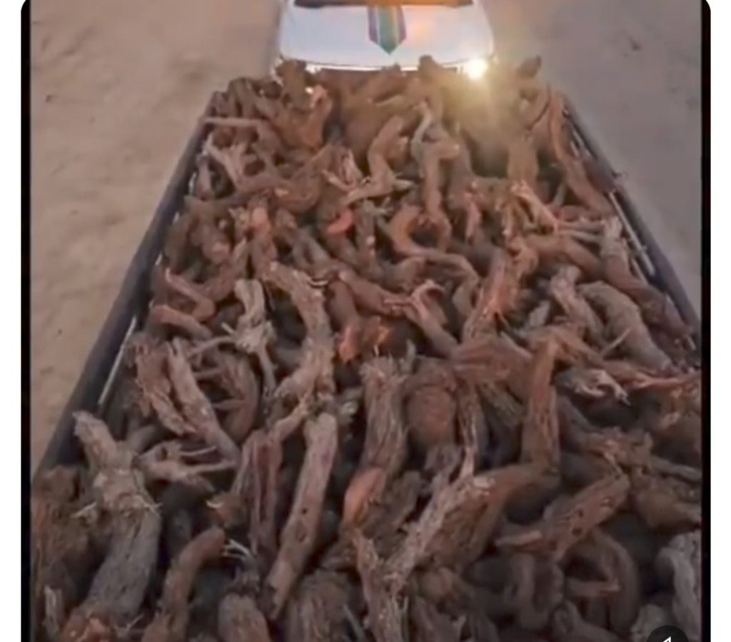 "أمن الطرق" بمنطقة القصيم تضبط مخالفًا لنظام البيئة IMG 20231201 154310