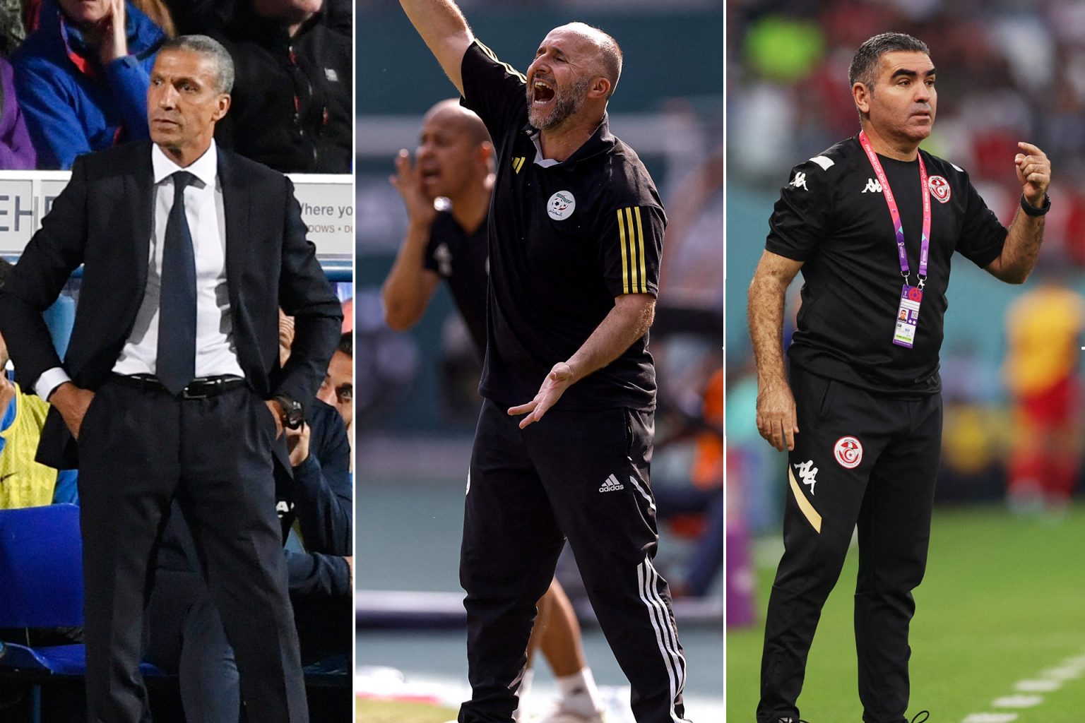 كمبو 3.jpgaAS 1706280847