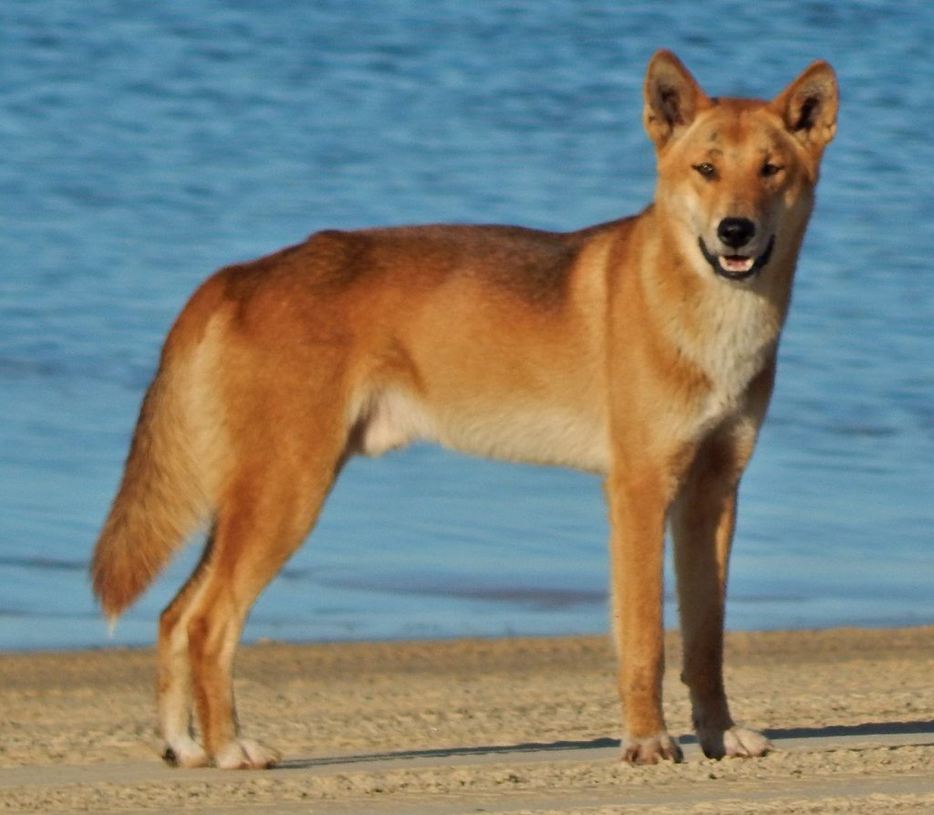 1704383666 image