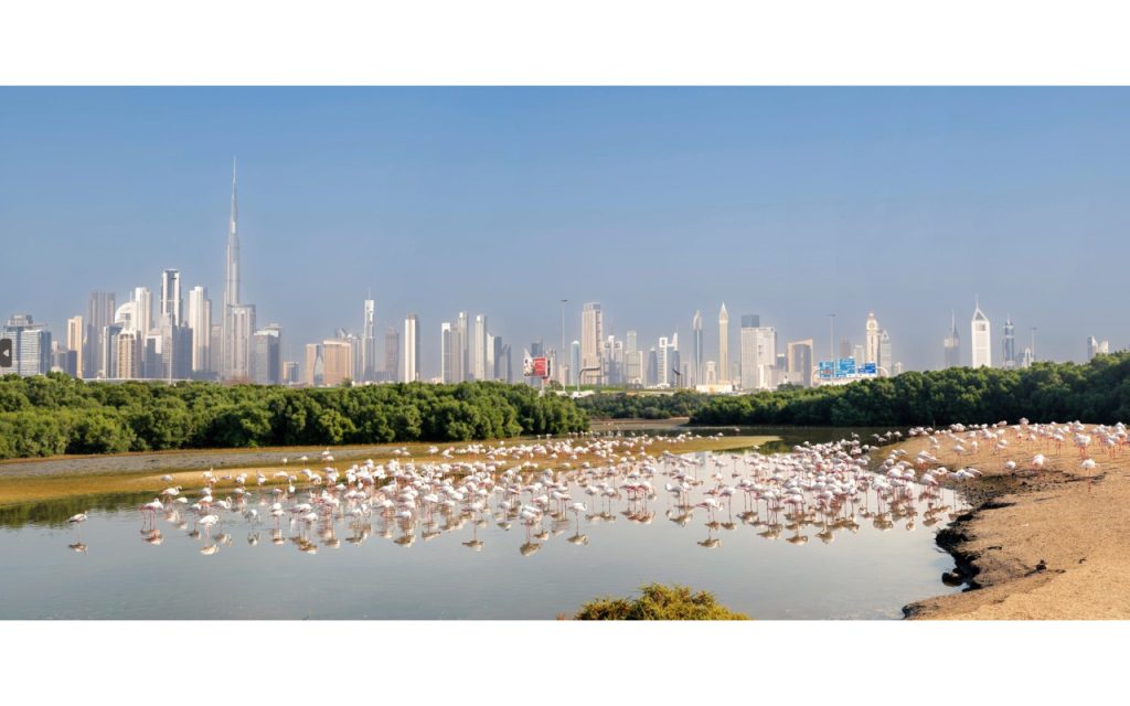 «التغير المناخي» تطلق المنصة «الجيومكانية البيئية» 1705197697 image