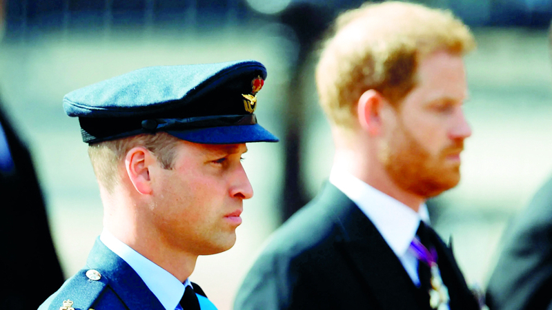 الأمير ويليام يمدّ غصن الزيتون لشقيقه هاري 1705617228 image