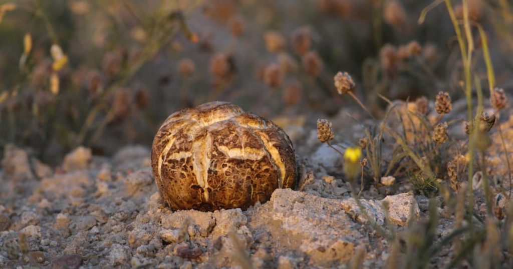 f44a225d 0caa 43ac b8a1 e416e997cbb5