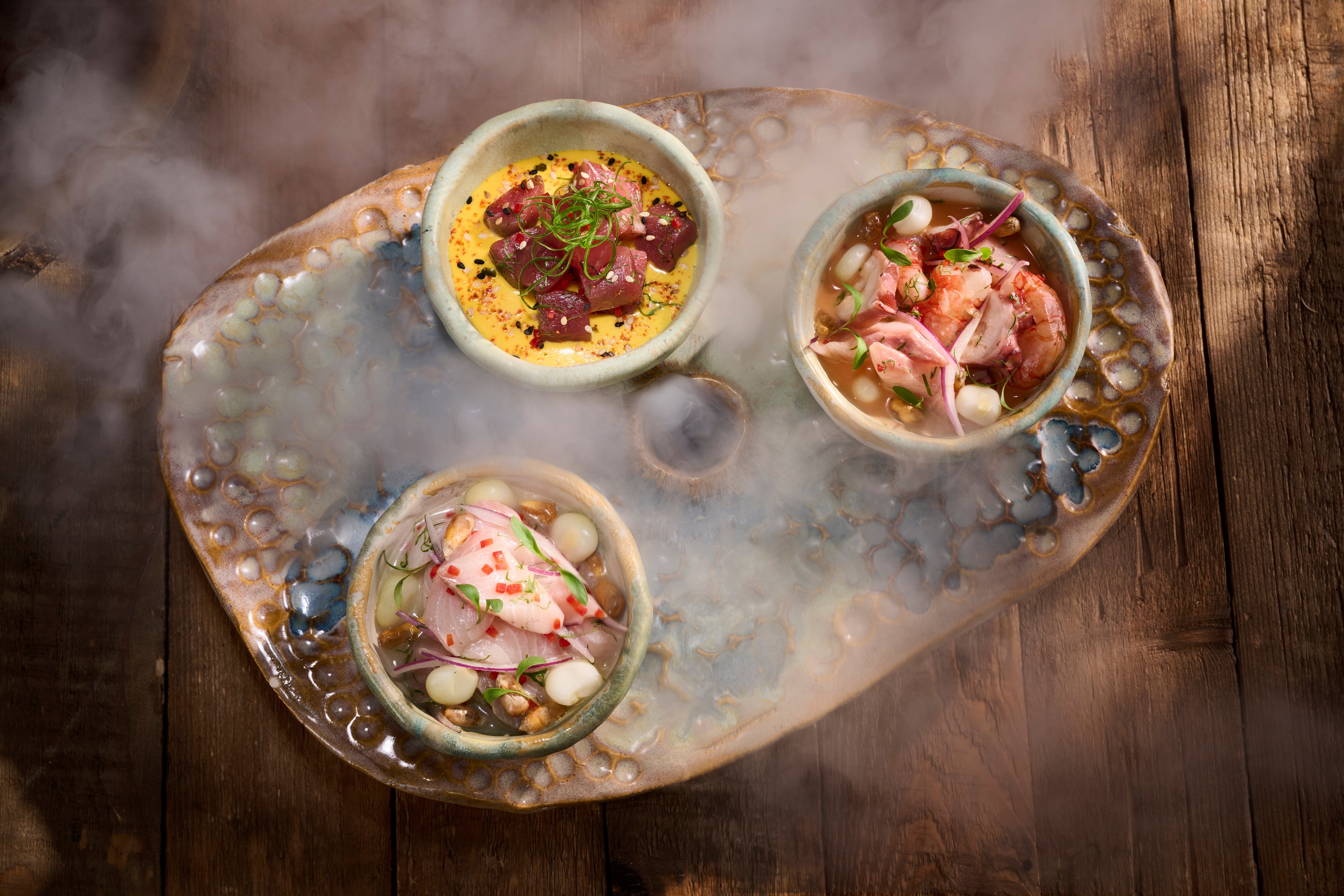 رحلة في دول مجلس التعاون الخليجي.. مهرجان دبي للتسوق 2 lamar cebichetasting