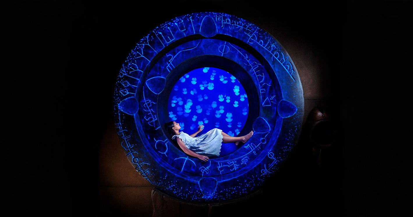 رحلة في دول مجلس التعاون الخليجي.. مهرجان دبي للتسوق 13 phy mwp tlc 2019 young girl jellyfish projection lr