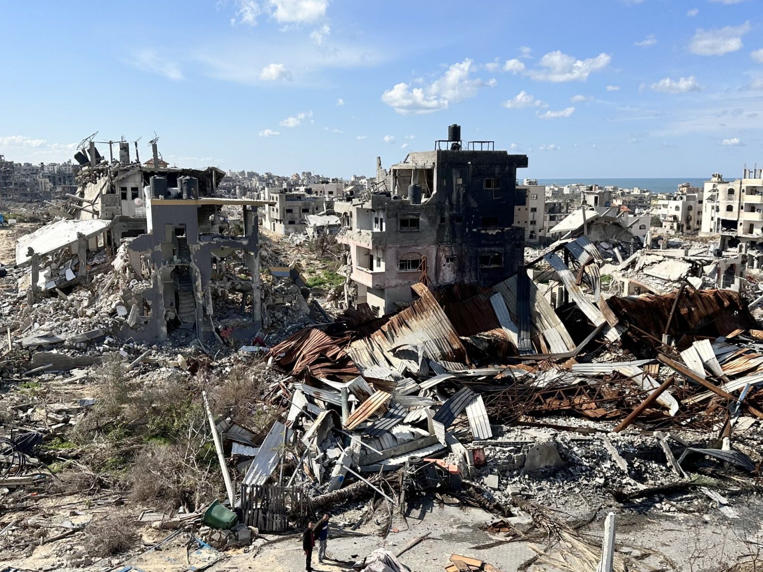 1707408709 33589557 1706851783