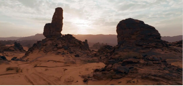 1707513539 294 Capture