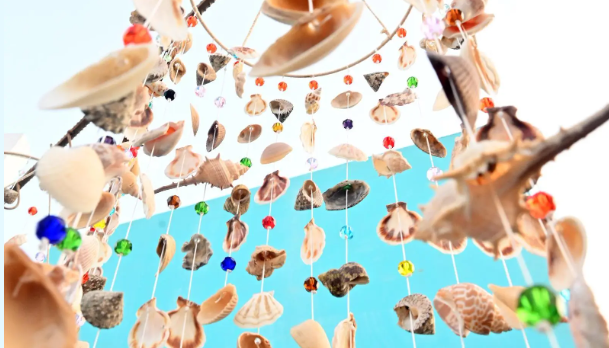 1708116264 663 Capture