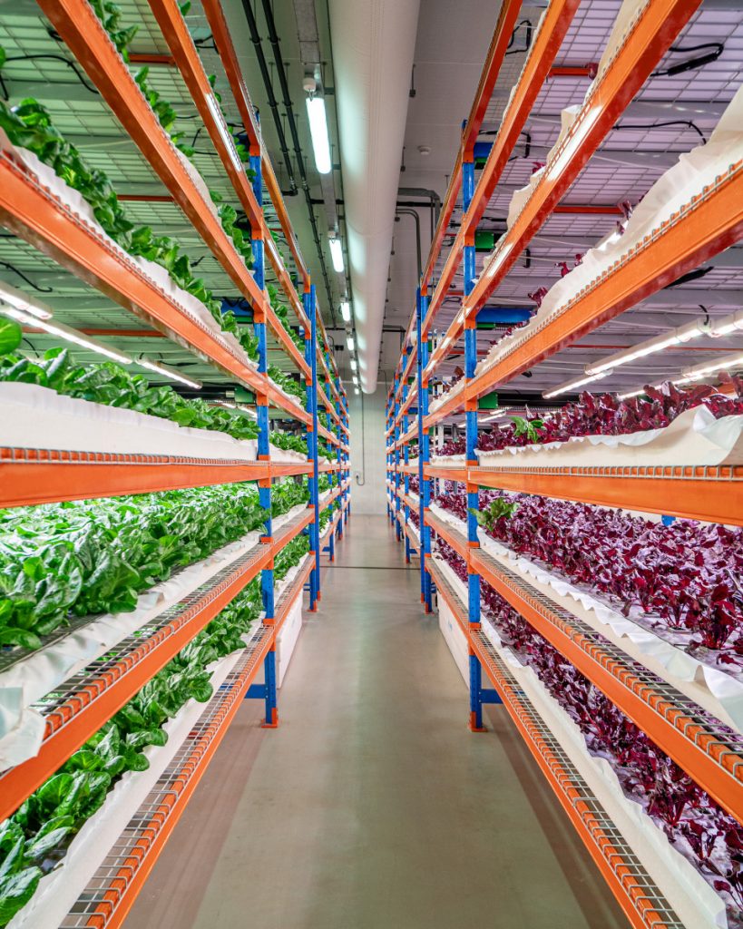 الإمارات لتموين الطائرات تستحوذ على “بُستانِكَ” بالكامل 1708347259 image