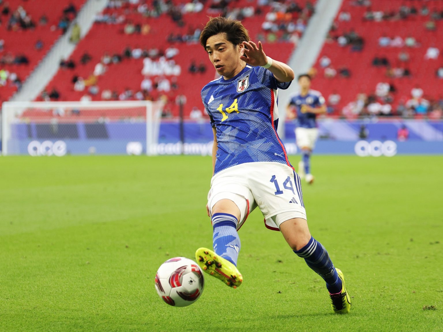 1932255384 1706783677