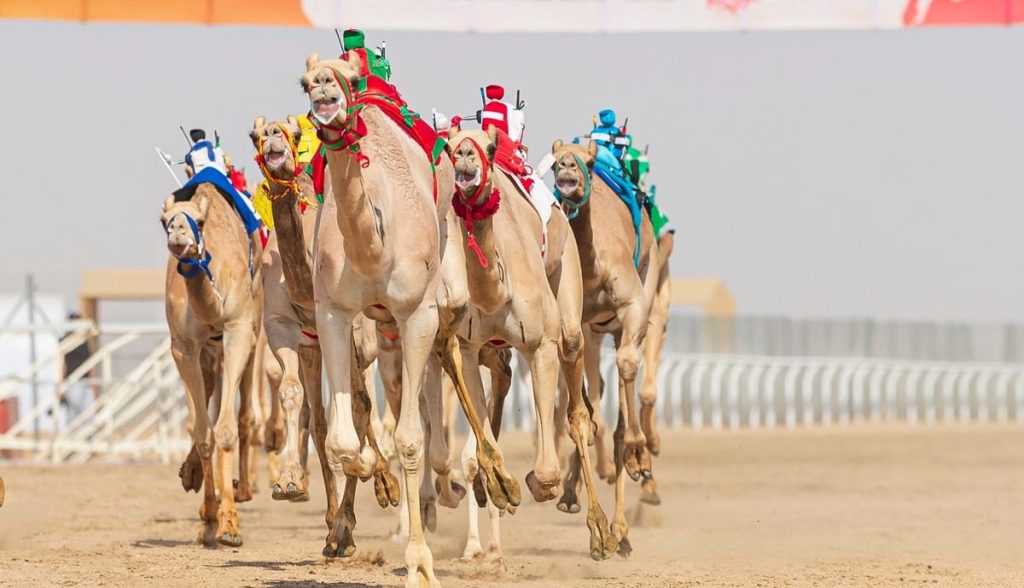 5c3aecb9 3d33 47d5 8ca1 d2874a2208d3