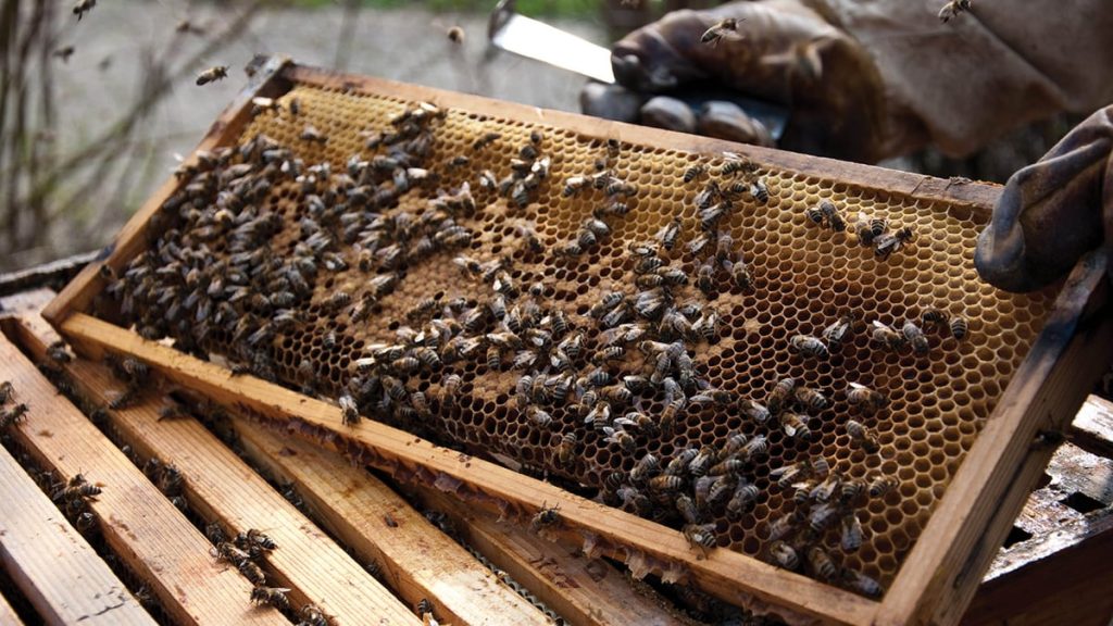 ajel2F2022 042F205ca77a fef4 411f 9544 b0fe982848a82FWebinars Tiles5 1 scaled