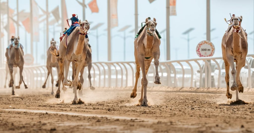 ajel2F2023 082Fa2112aed 40f1 4a55 99c4 26e7029b8b222FF3PflOTWkAEH4 F