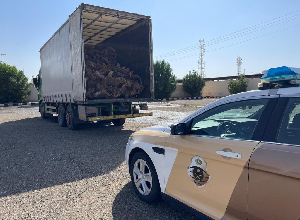 ajel2F2023 122F96c00995 bbc7 419c 8a2d 276a7d461a992FGAkxx7yXIAE2L1X 1 .jfif