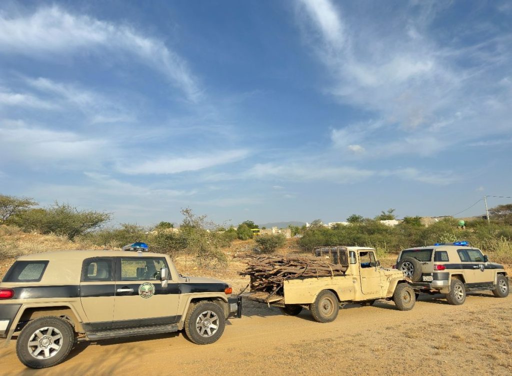 ajel2F2024 022F819763a7 427d 4f5c be5b 28b7bf947b952F4e462bf1 21fd 45db 91a7 3a052da51ecf