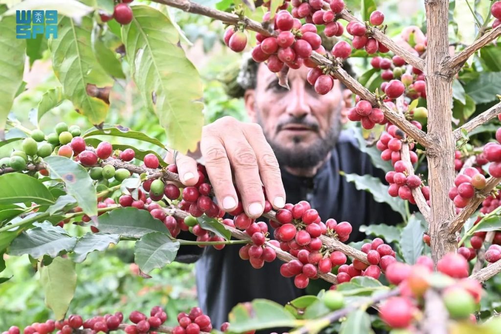 ajel2F2024 022Fe1f10fce fe89 4bb2 a8bc cc8af45b93fc2FTDwYibmlG3WWroAVNXWsWNXTHWefeldB0oLX0R5N.webp