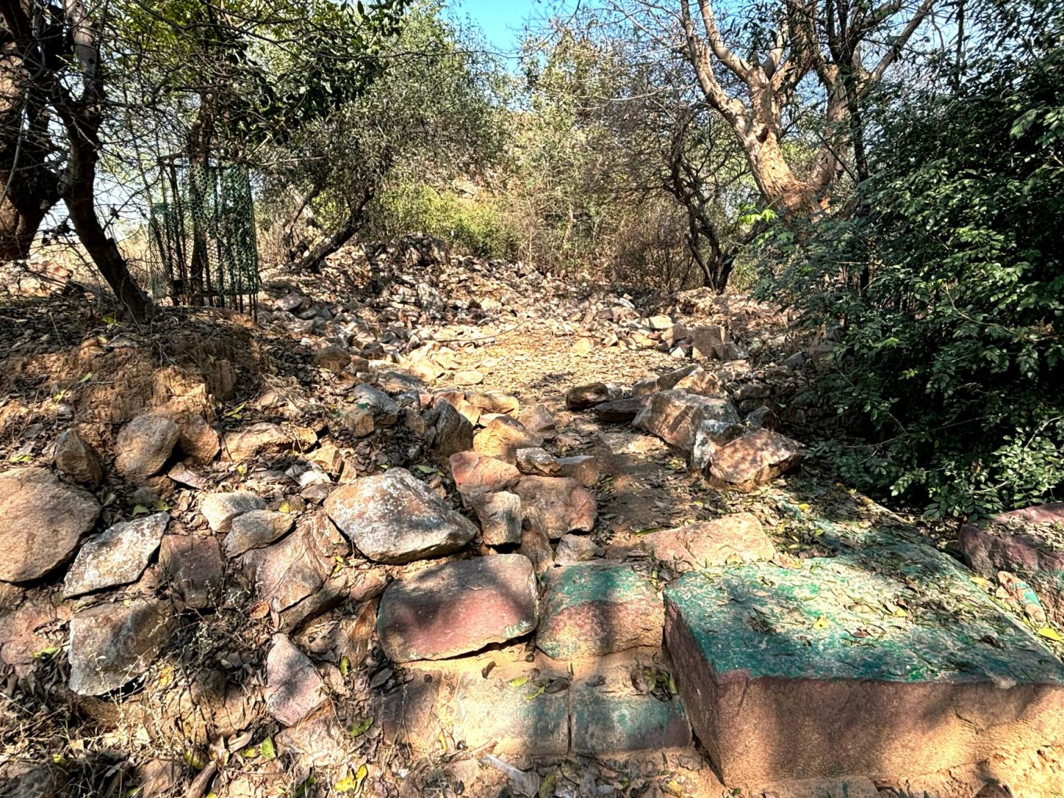 بدعوى تنمية الهند.. هدم ضريح تاريخي لولي صوفي في دلهي ؤؤ 2 1708429670